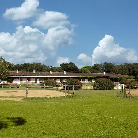 Residential Horse Club Costa Brava Pansiyon Santa Cristina d'Aro Oda fotoğraf