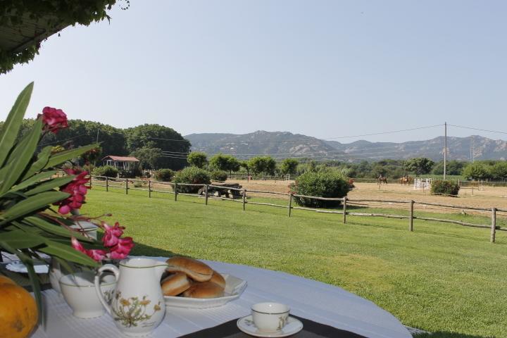 Residential Horse Club Costa Brava Pansiyon Santa Cristina d'Aro Oda fotoğraf